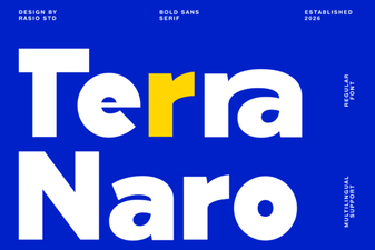 Terra Naro Font: Creative Design Ideas & Projects
